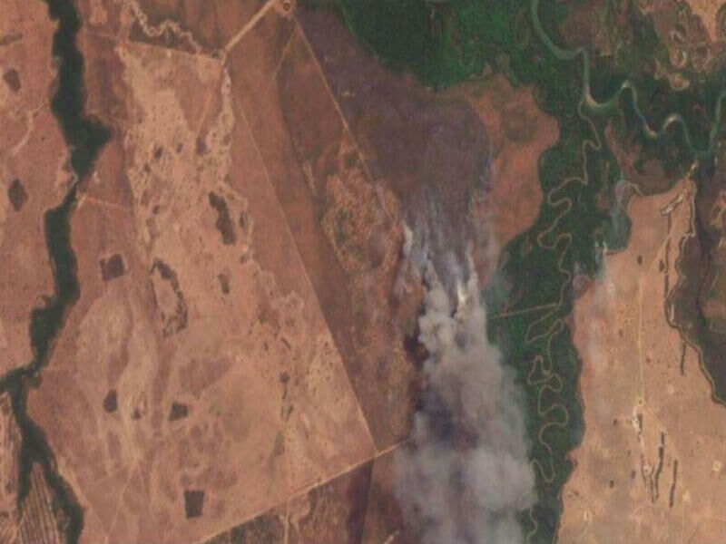 Ilustração da notícia MP investiga e multa fazendeiro em R$ 4,6 milhões por desmatamento ilegal de 468 hectares de vegetação nativa em Sonora